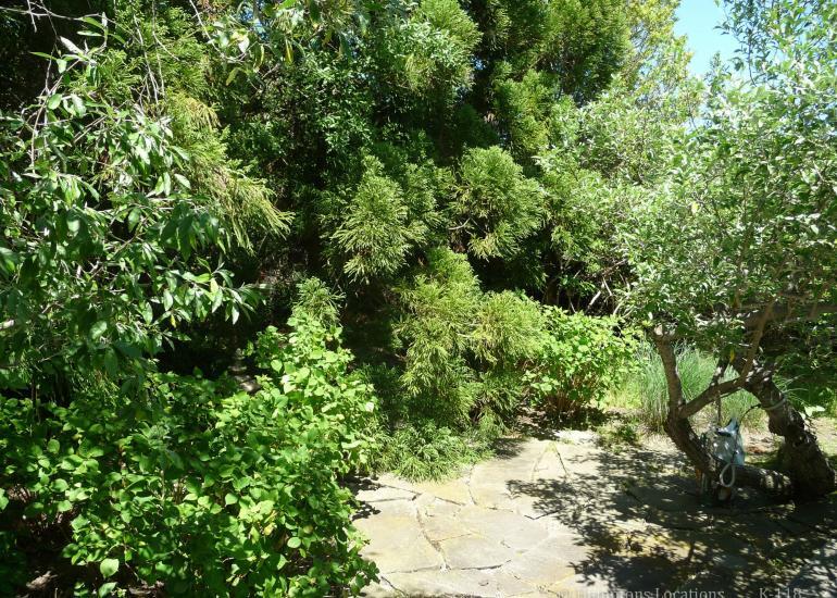 K-118 Classic Shingled