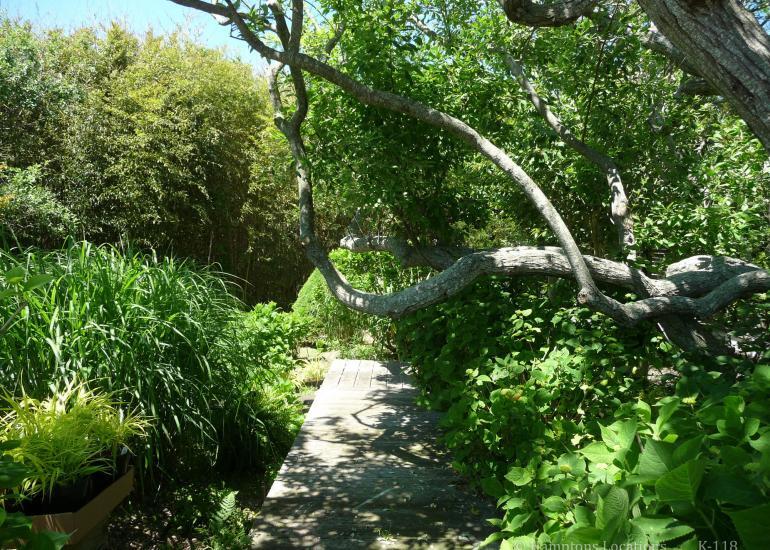 K-118 Classic Shingled