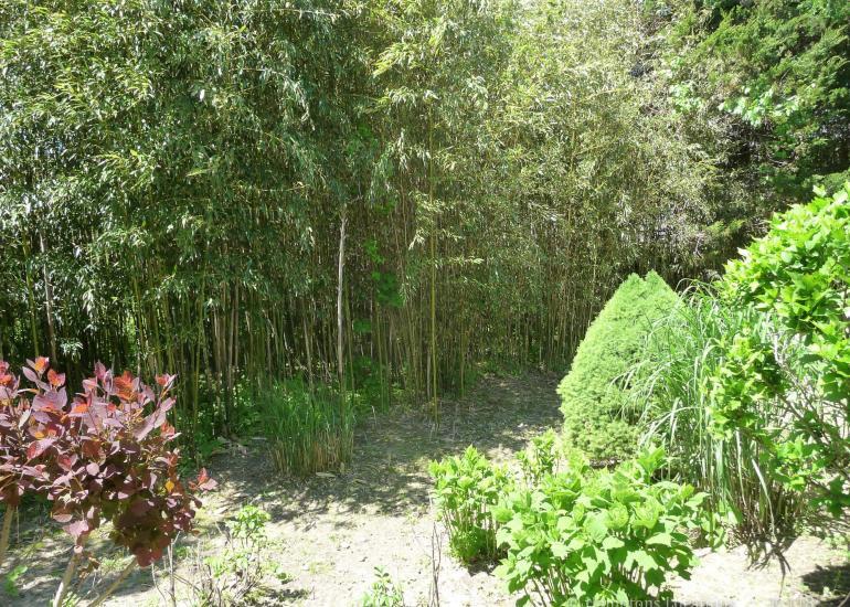 K-118 Classic Shingled